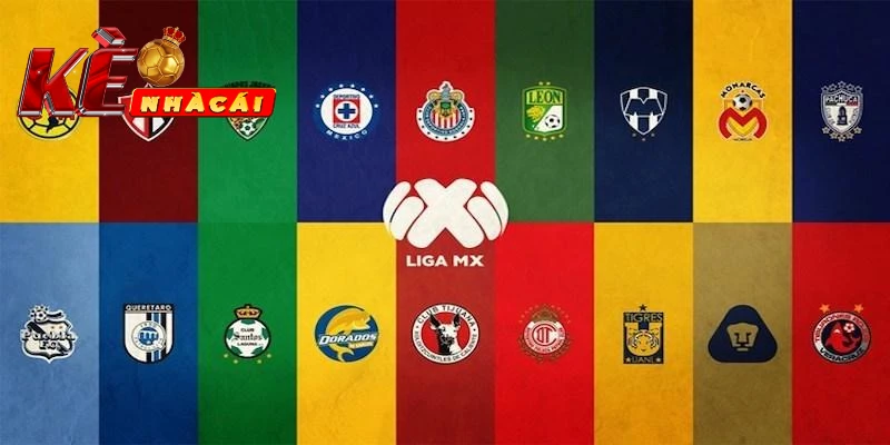 Soi kèo bóng đá VĐQG Mexico là gì?